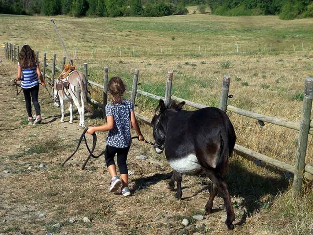 equitation sisteron haute provence